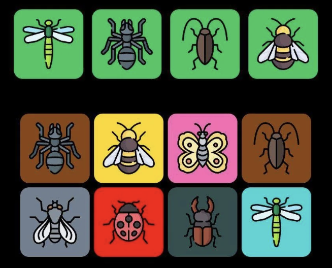 FLIES Daily Combo 14 March 2025